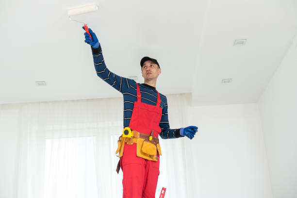 Best Attic Mold Removal  in Omak, WA